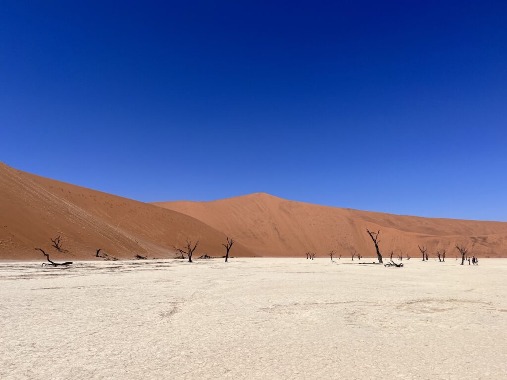 Deadvlei, Sossusvlei, Namibia